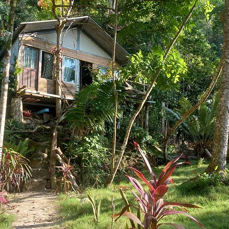 Sumatra Ecolodge Sungaipisang ภายนอก รูปภาพ