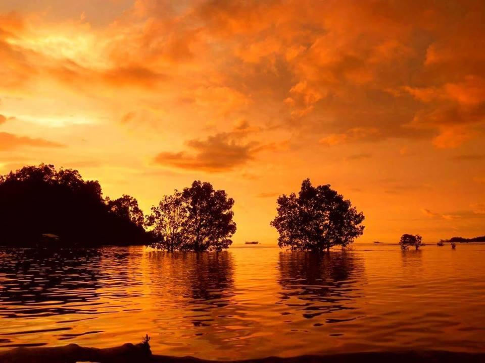 Sumatra Ecolodge Sungaipisang ภายนอก รูปภาพ