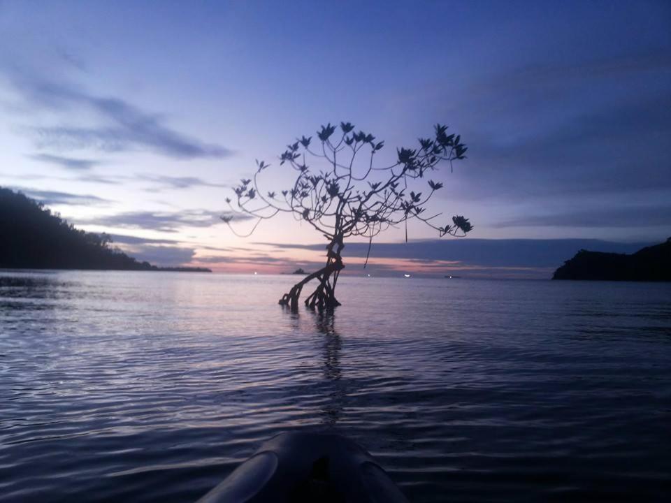 Sumatra Ecolodge Sungaipisang ภายนอก รูปภาพ