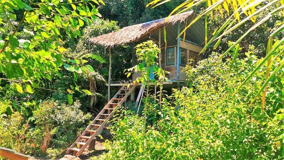 Sumatra Ecolodge Sungaipisang ภายนอก รูปภาพ