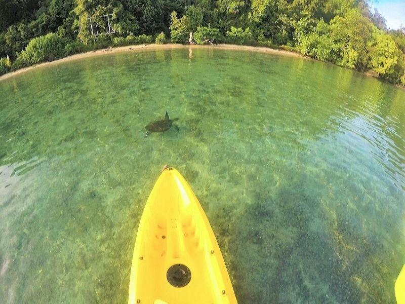 Sumatra Ecolodge Sungaipisang ภายนอก รูปภาพ