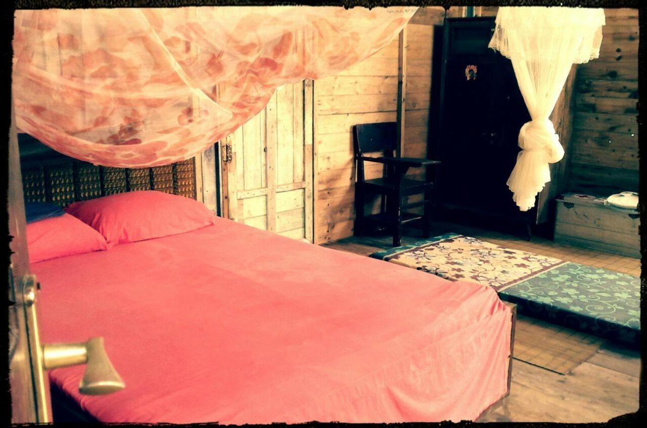 Sumatra Ecolodge Sungaipisang ภายนอก รูปภาพ