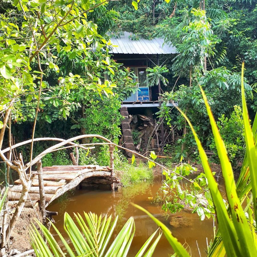 Sumatra Ecolodge Sungaipisang ภายนอก รูปภาพ