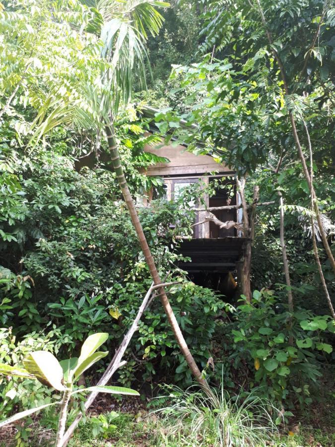 Sumatra Ecolodge Sungaipisang ภายนอก รูปภาพ