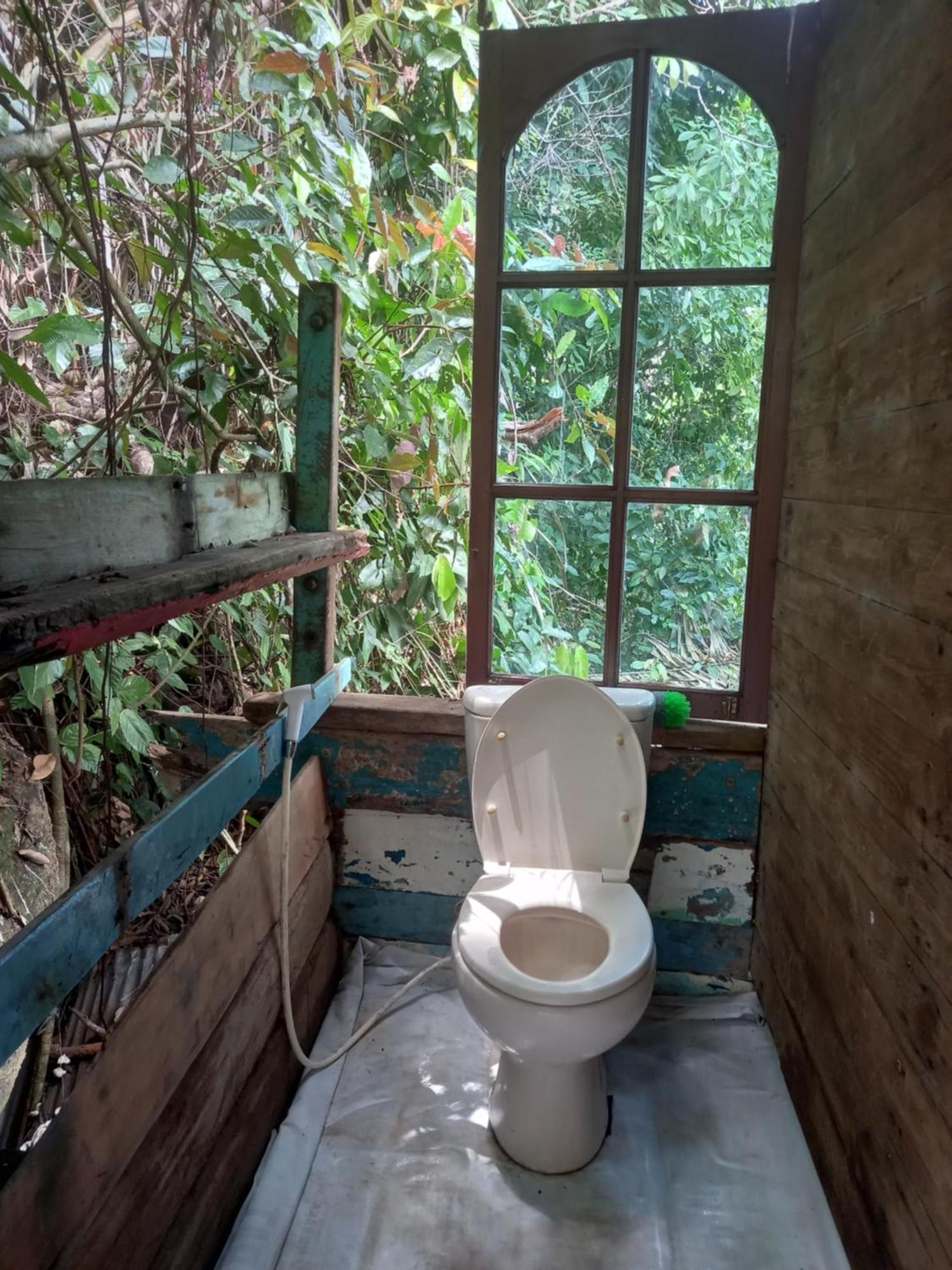 Sumatra Ecolodge Sungaipisang ห้อง รูปภาพ