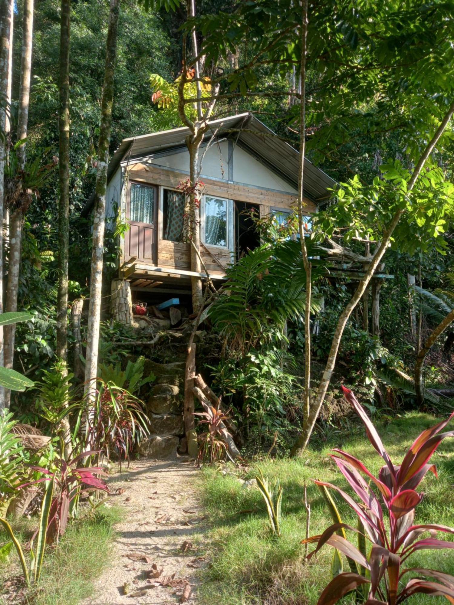 Sumatra Ecolodge Sungaipisang ภายนอก รูปภาพ