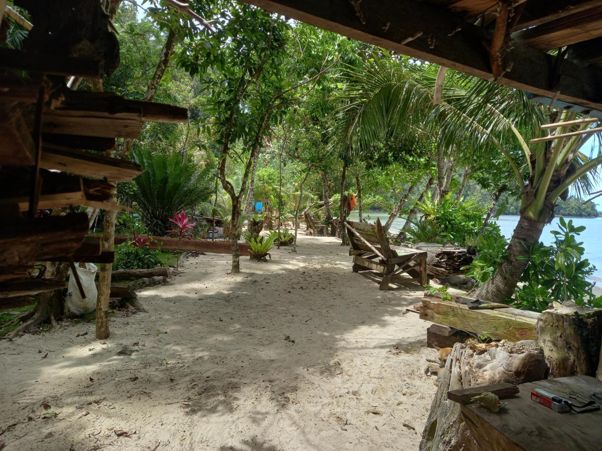 Sumatra Ecolodge Sungaipisang ภายนอก รูปภาพ