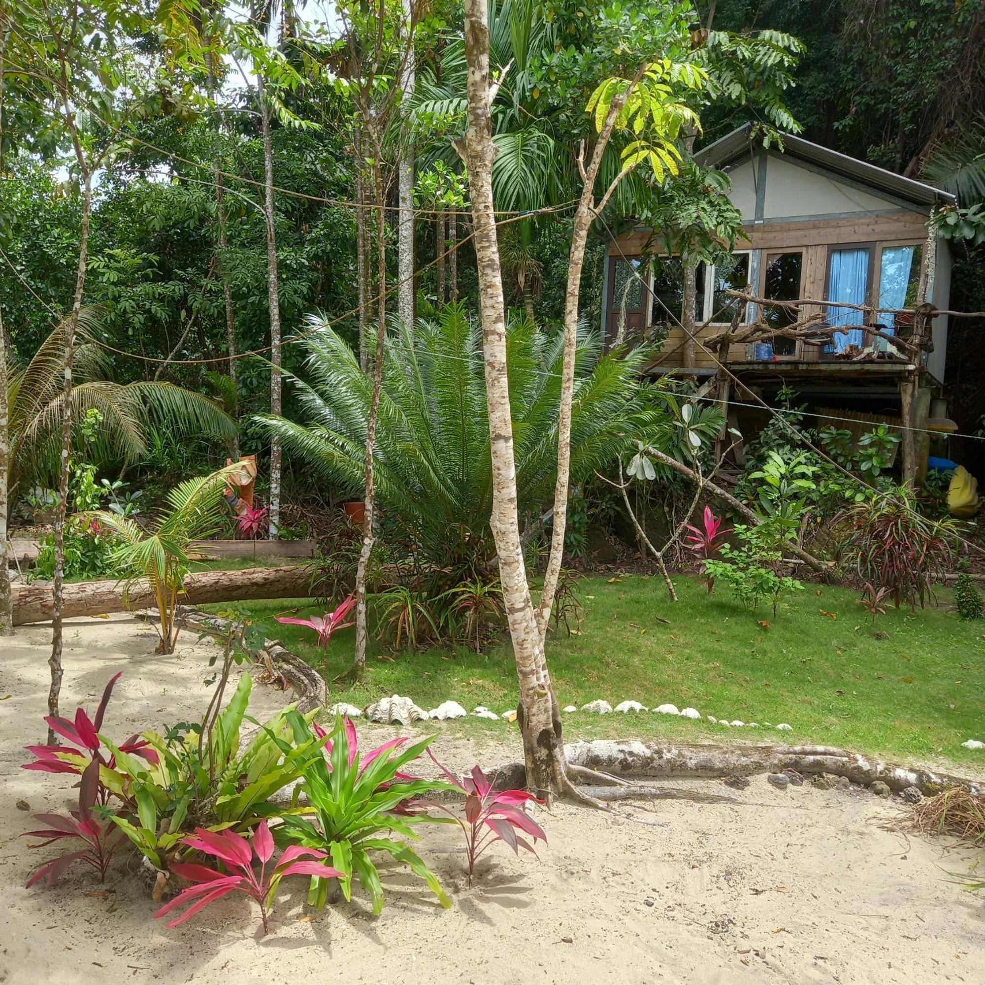 Sumatra Ecolodge Sungaipisang ห้อง รูปภาพ